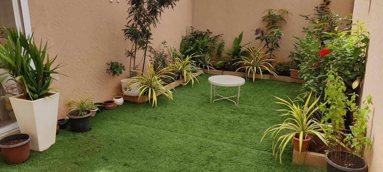 WhatsApp Image 2026-02-16 at 7.32.57 AM